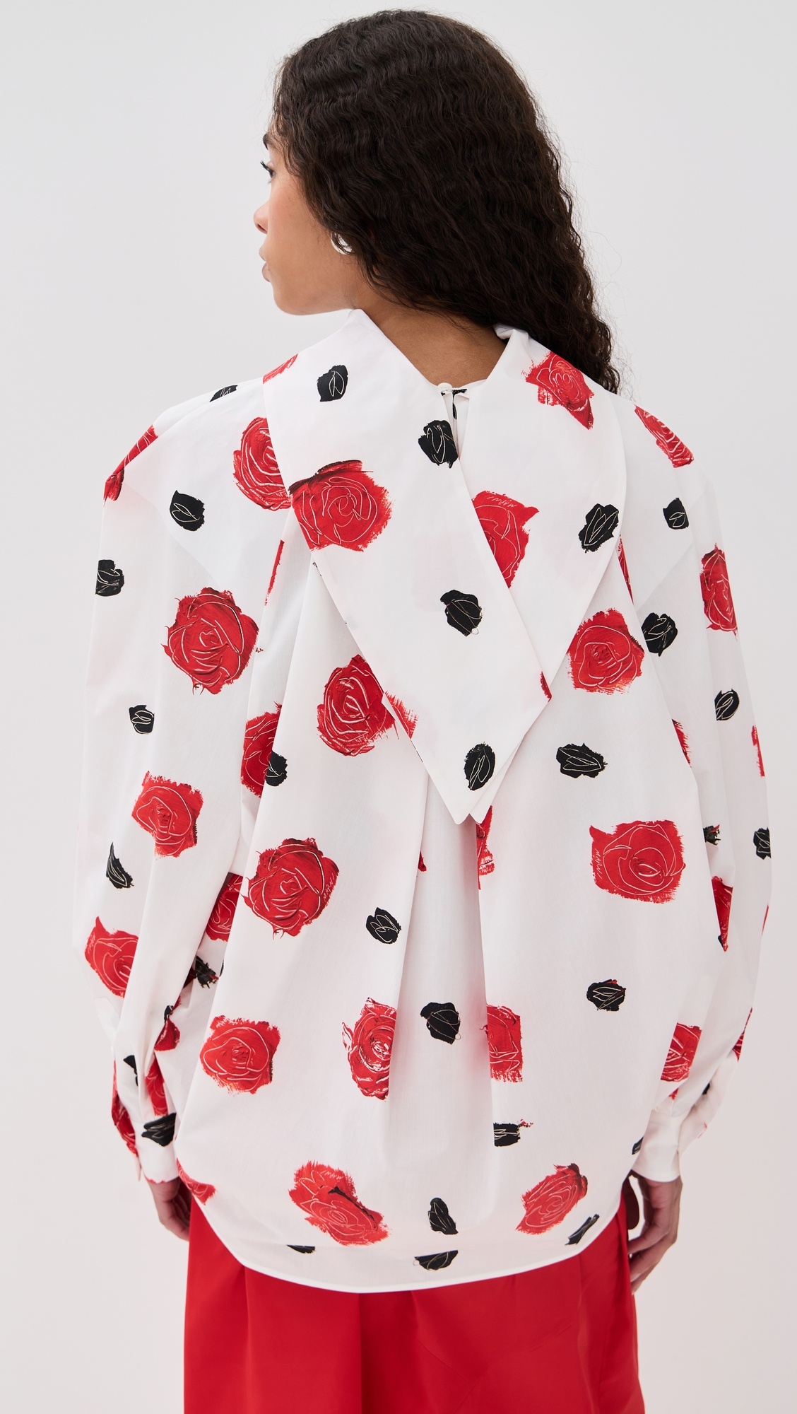 Balloon Top with Long Raglan Sleeves - 2