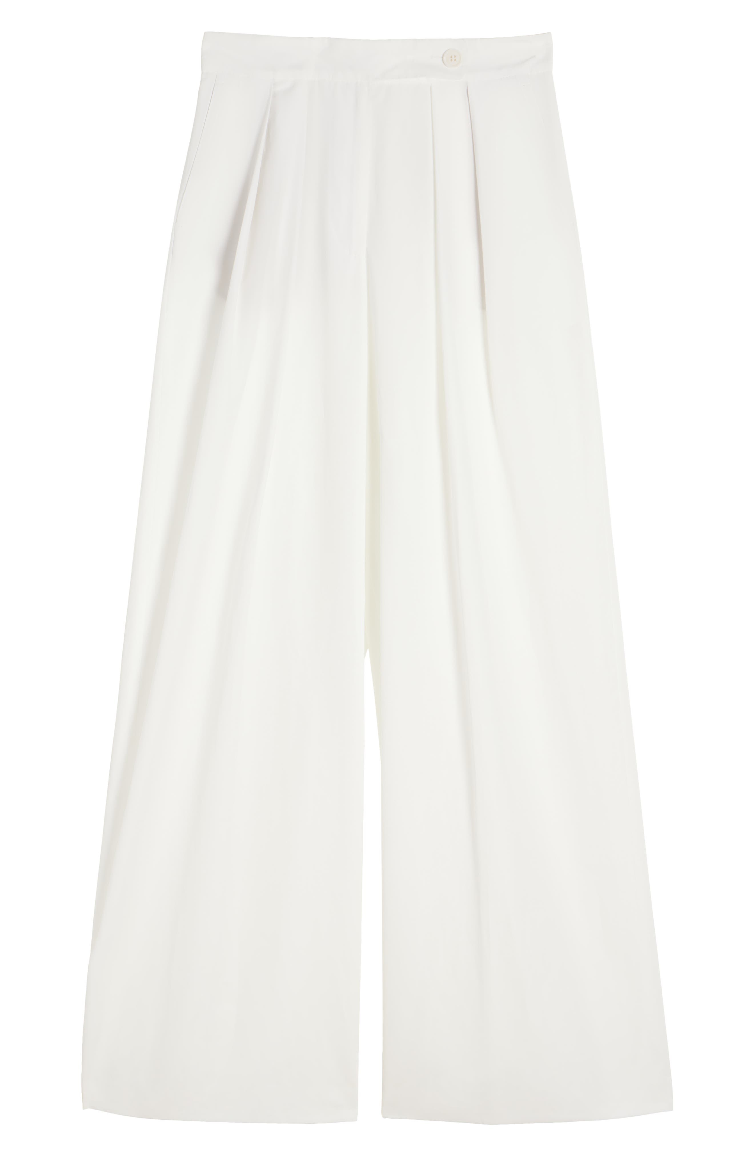 Dries Van Noten Pamplona Pleated Wide Leg Trousers in White at Nordstrom - 6