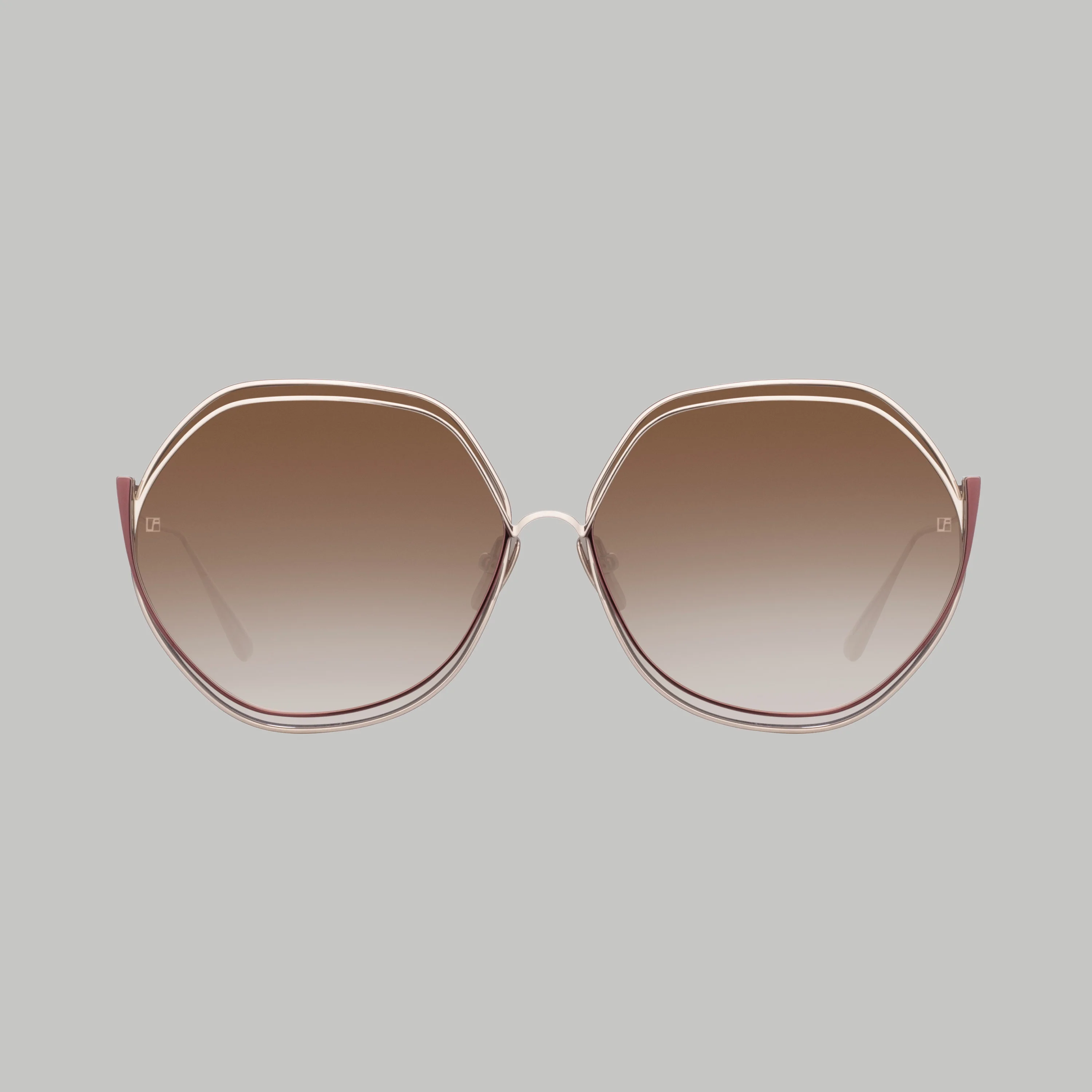 ASPEN HEXAGON SUNGLASSES IN METALLIC BROWN - 1
