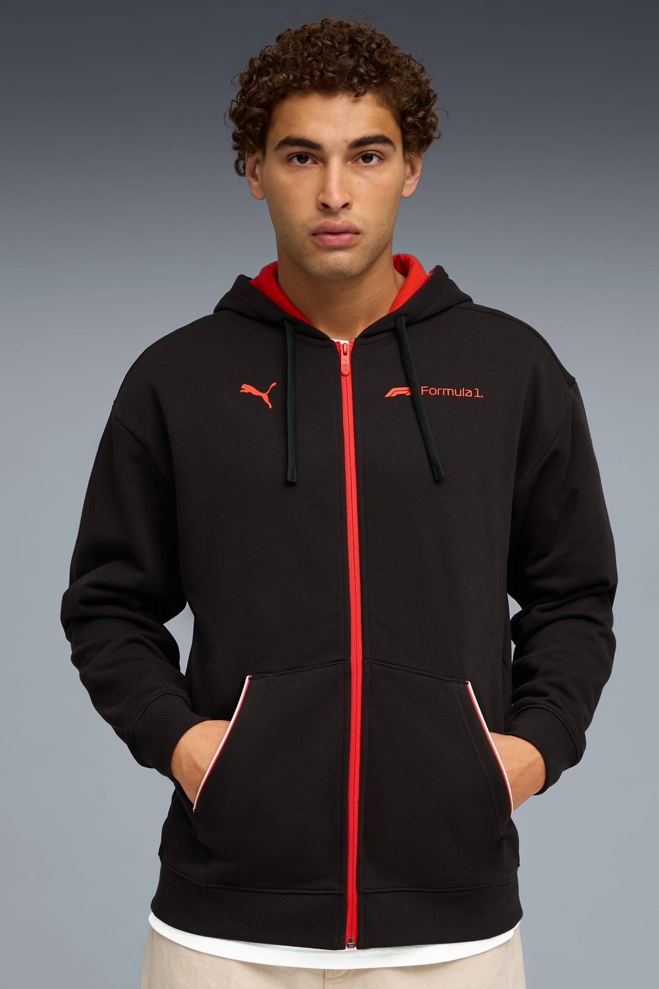 Formula 1® Motorsport Essentials Men's Zip-Up Hoodie - 3