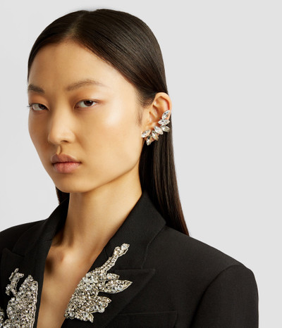 Erdem EAR CLIMBER outlook