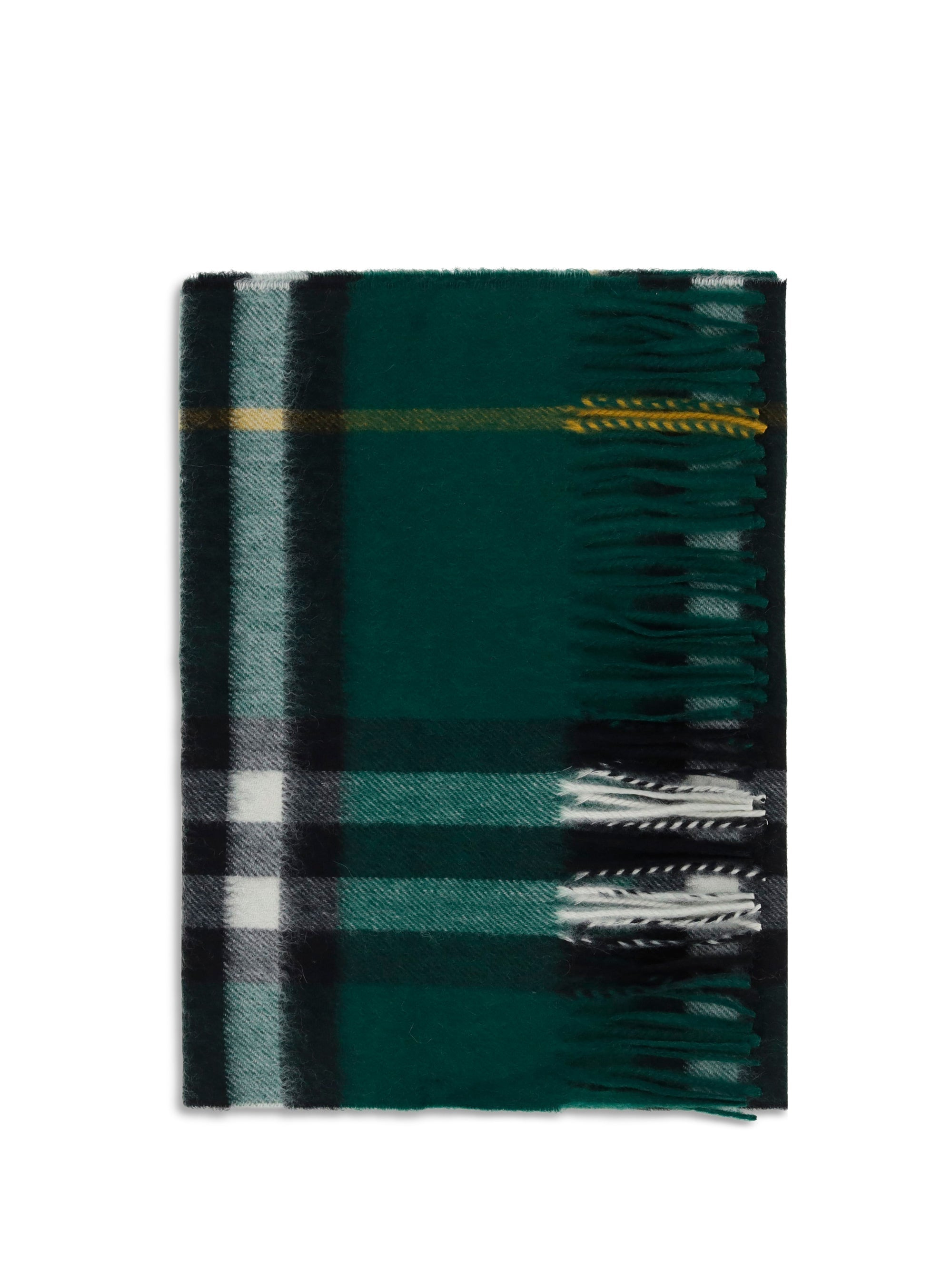 Burberry Women Cashmere Scarf - 1