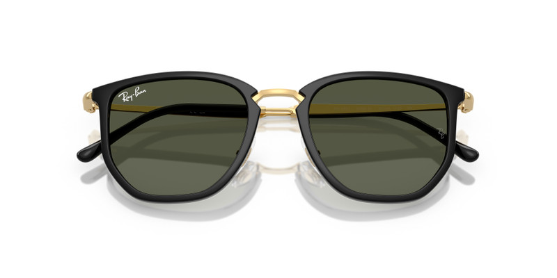 Ray-Ban RB4451 outlook