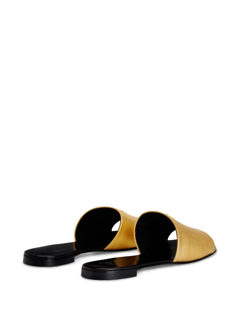 Shirley slides 3