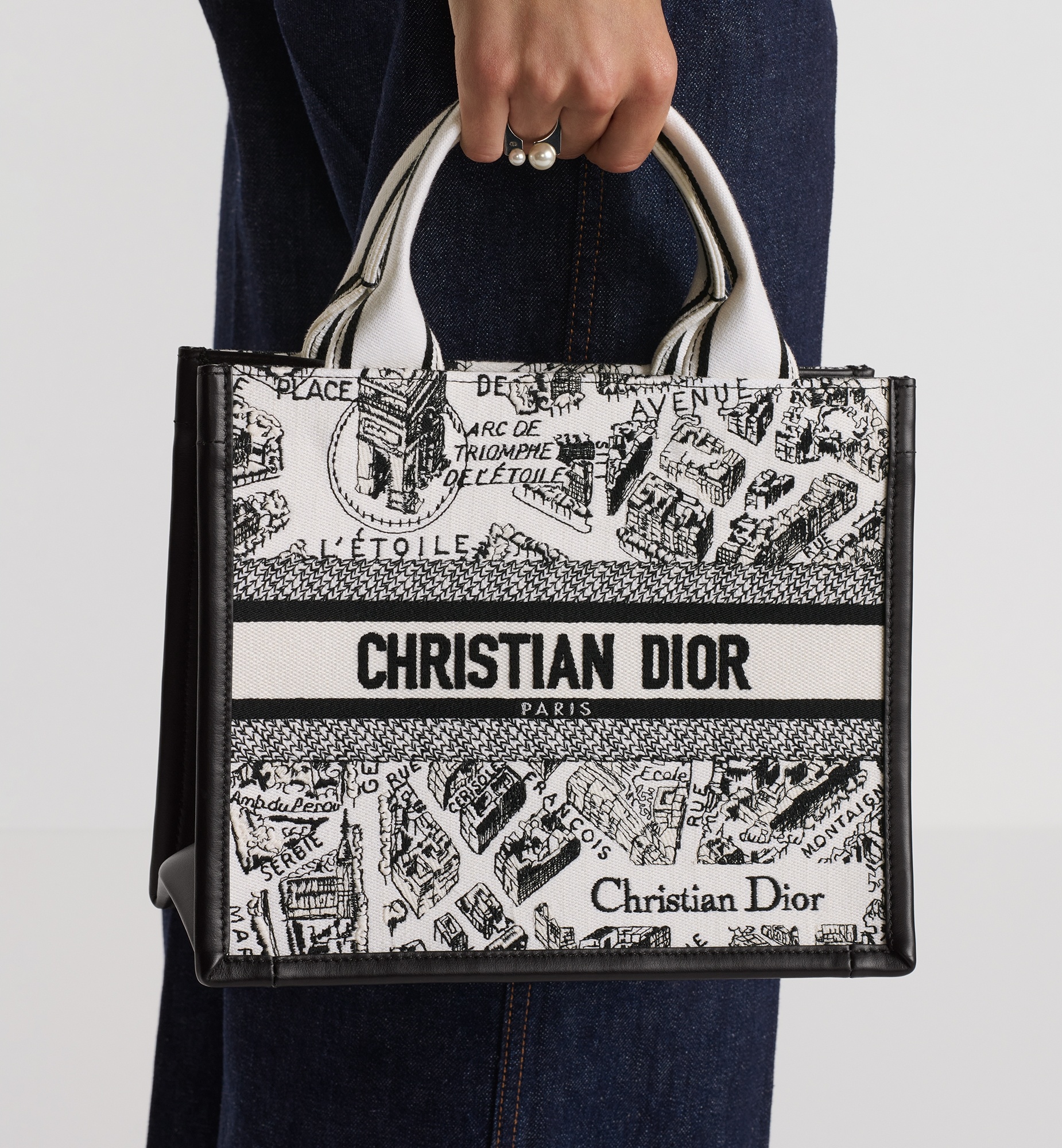 Small Dior Book Tote - 2