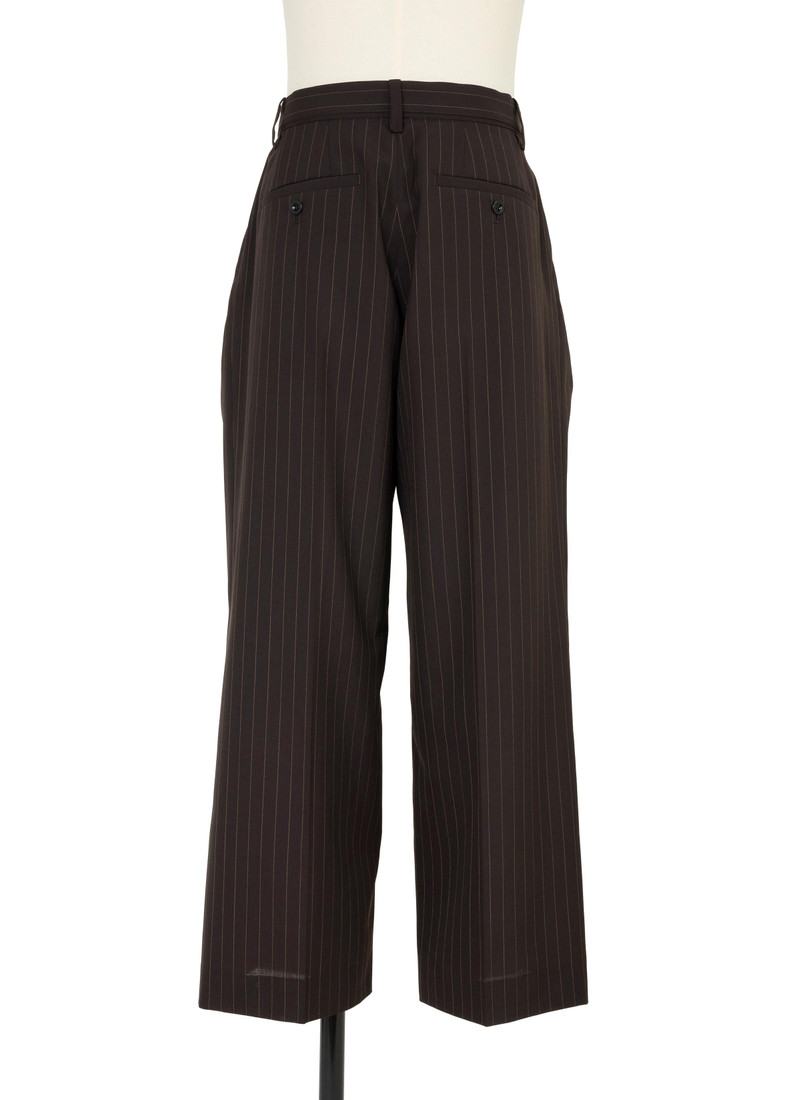 Chalk Stripe Pants 4