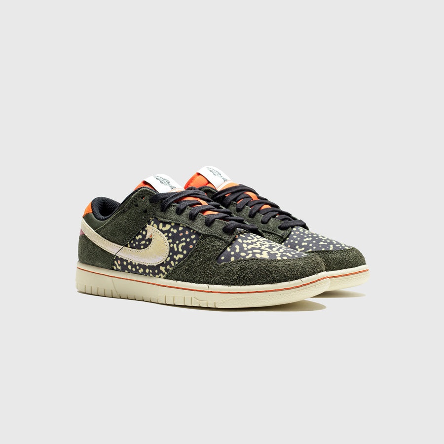 DUNK LOW RETRO SE 2  "RAINBOW TROUT" - 3