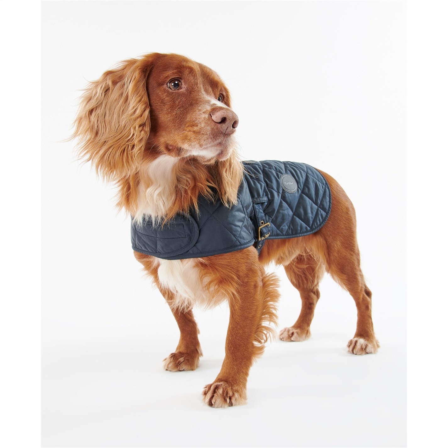 QUILTED DOG COAT - 4