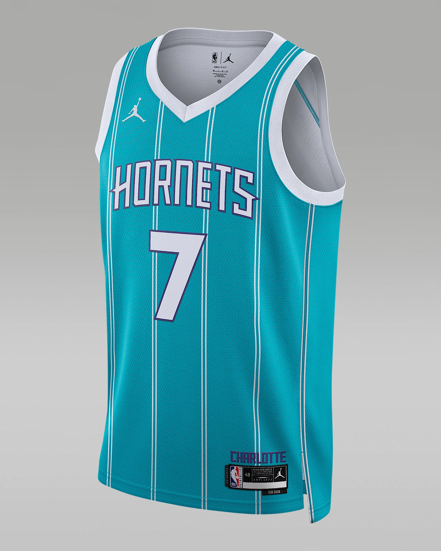 Charlotte Hornets Icon Edition Men's Jordan Dri-FIT NBA Swingman Jersey - 1