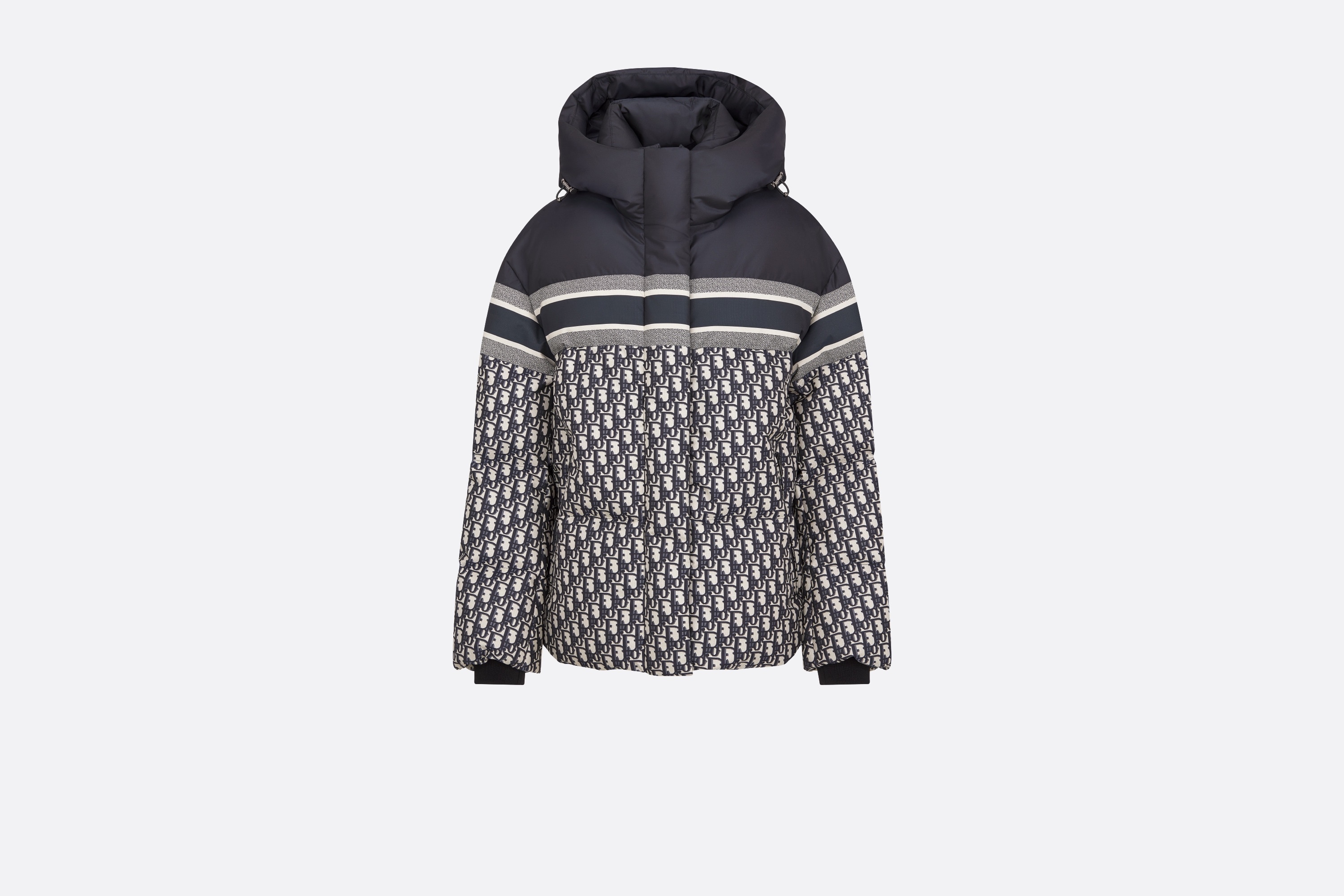 DiorAlps Hooded Puffer Jacket - 1