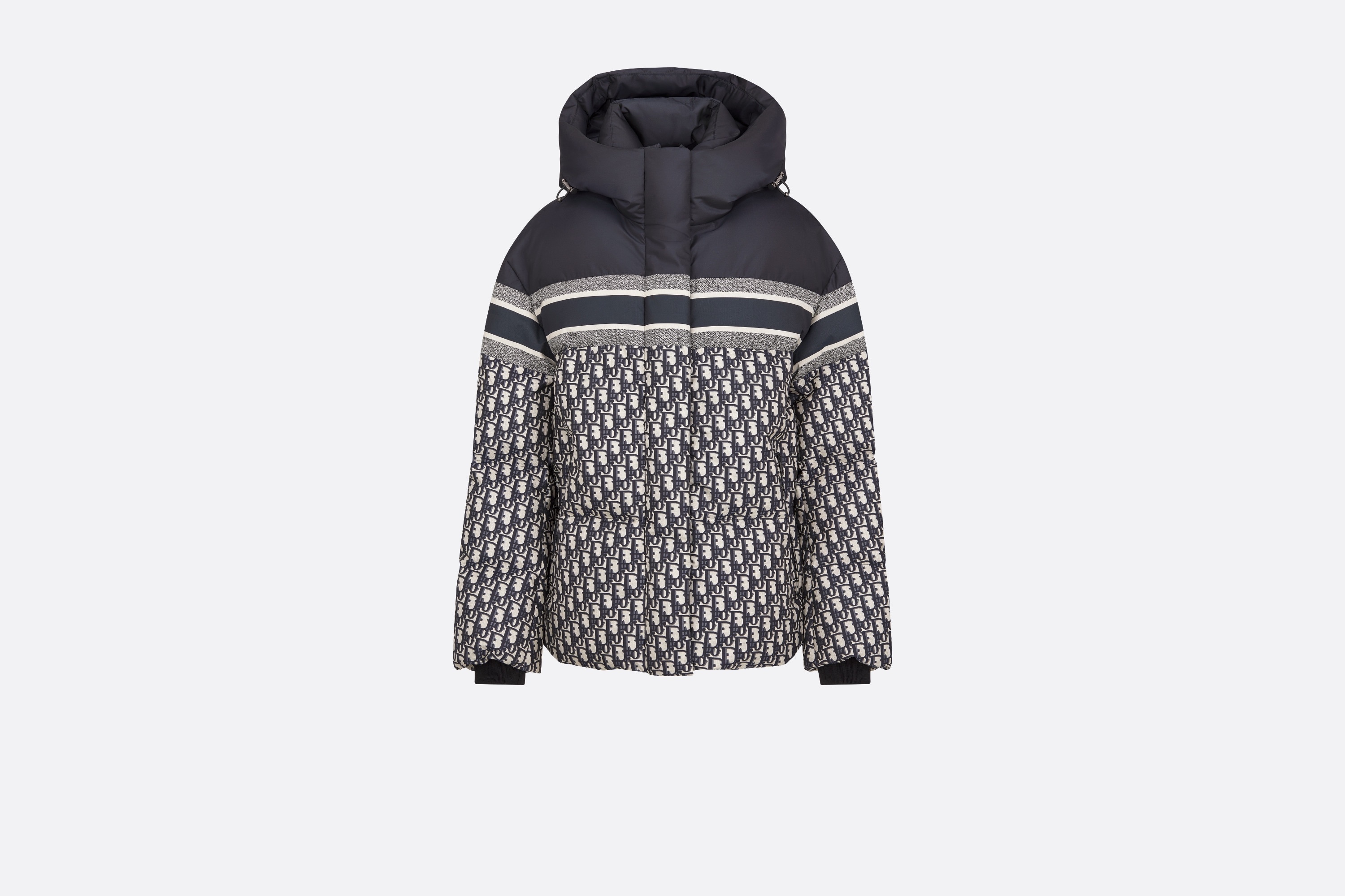 DiorAlps Hooded Puffer Jacket - 1