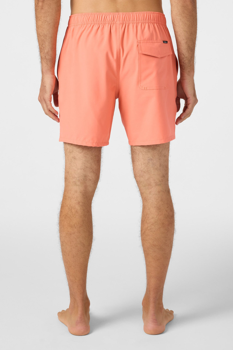 Lennox Hermosa Solid 17" Swim Trunks 6