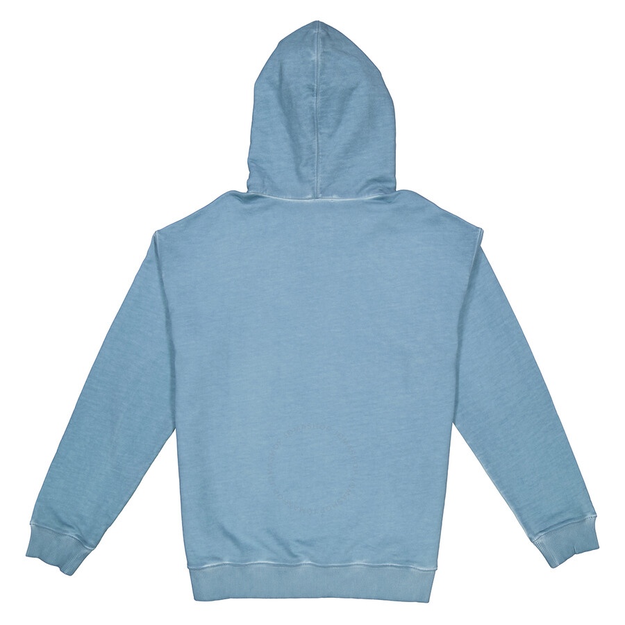 Emporio Armani Blue Graphic Print Hooded Sweatshirt - 5