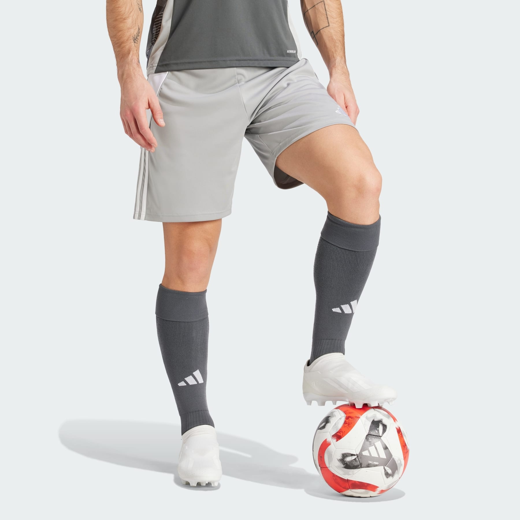 Tiro 24 Shorts - 4