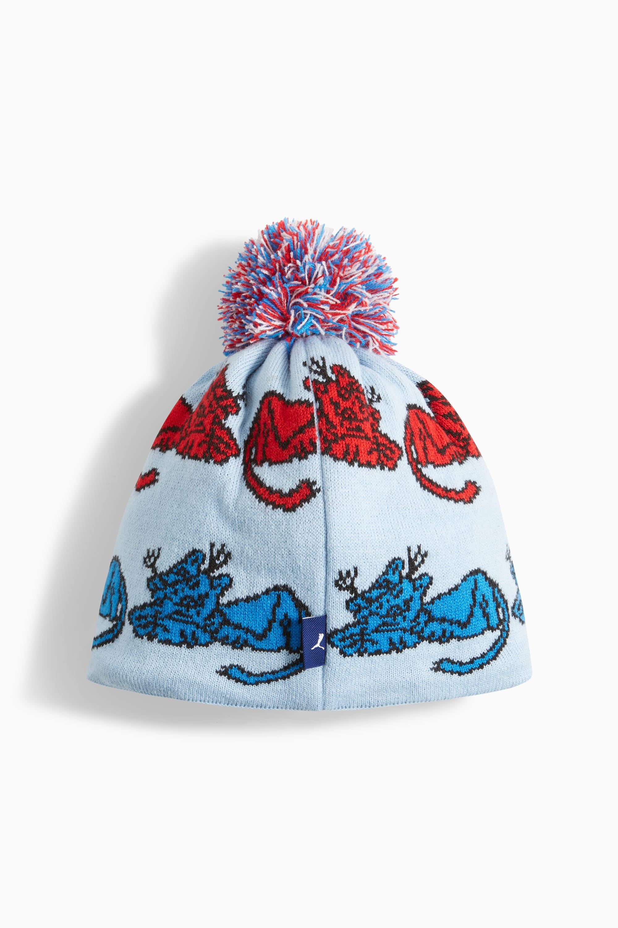 PUMA x NOAH Ski Beanie - 2