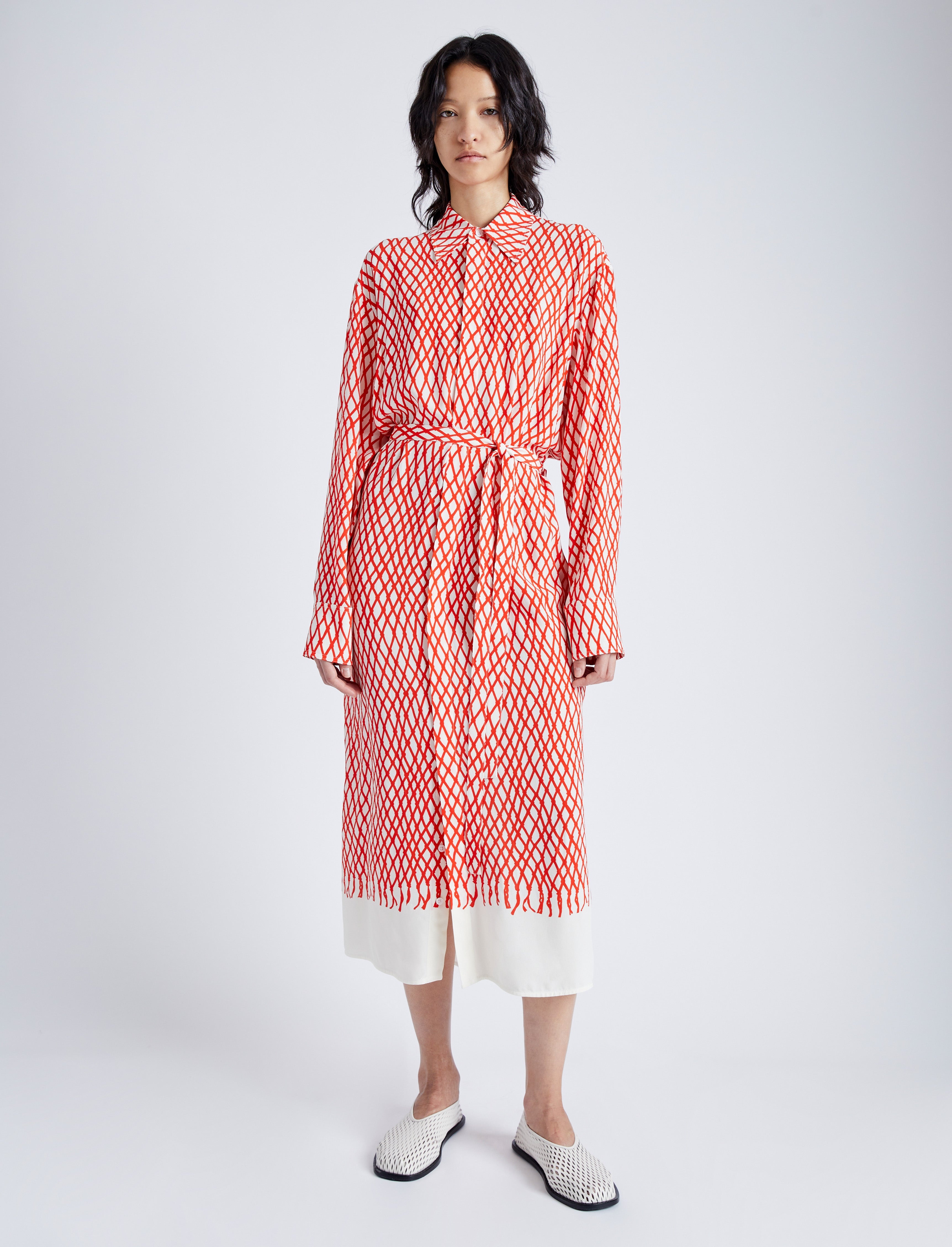 Bailey Dress in Printed Viscose Crepe - 2