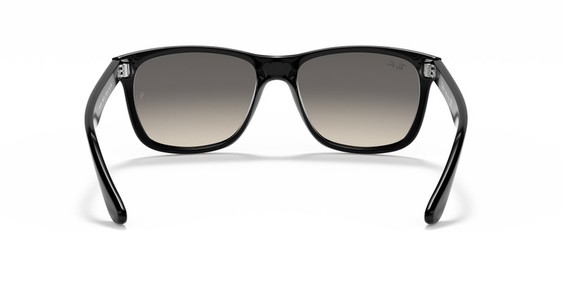 모델 번호: RB4181 6