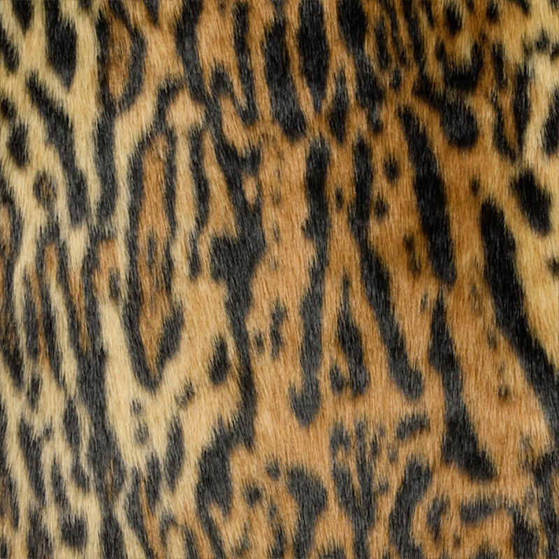 Roberto Cavalli Leopard Print Faux Fur Coat 5