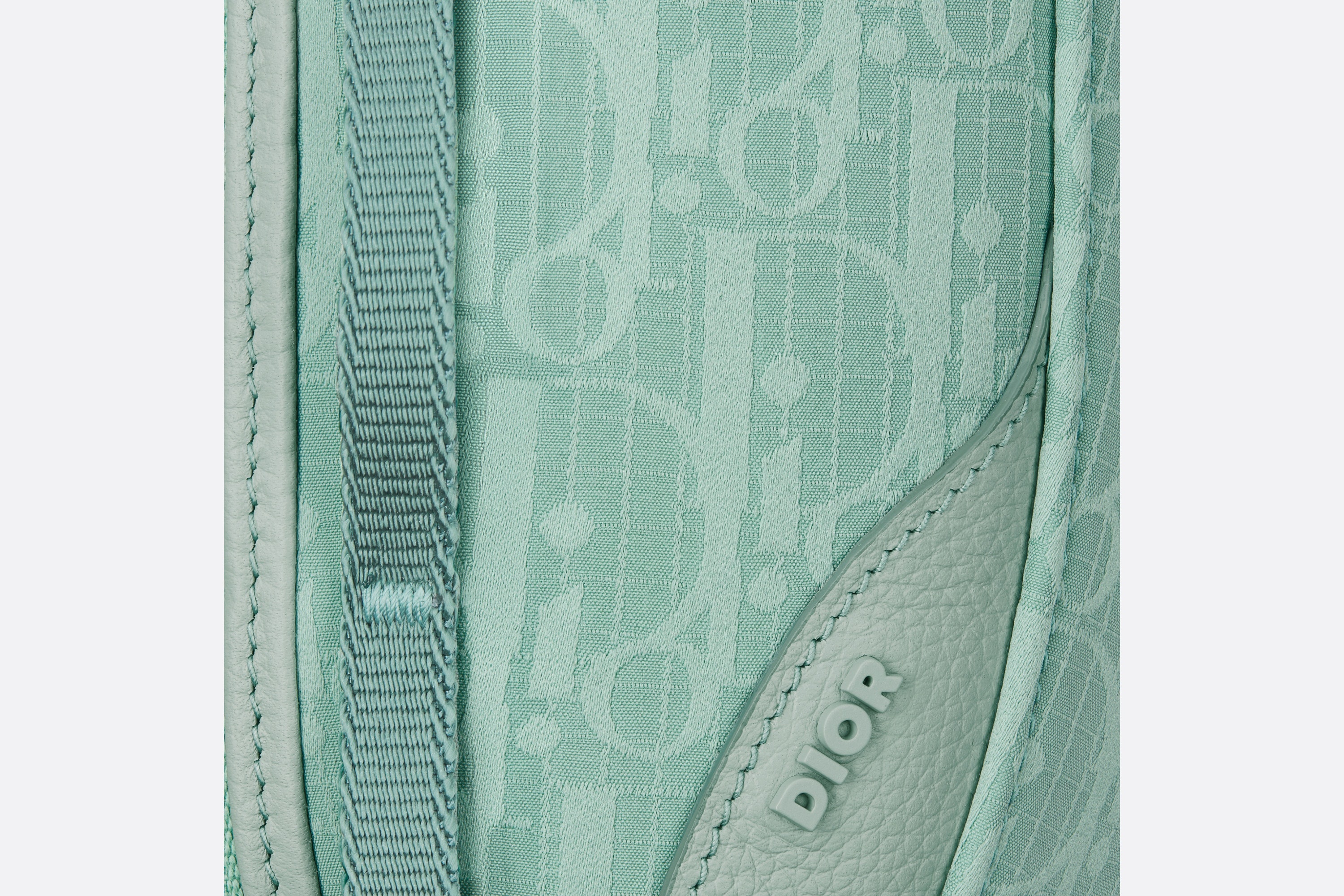 Mini Dior Scarab Bag 7
