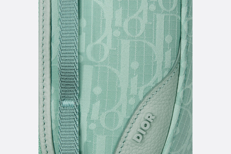 Mini Dior Scarab Bag 7