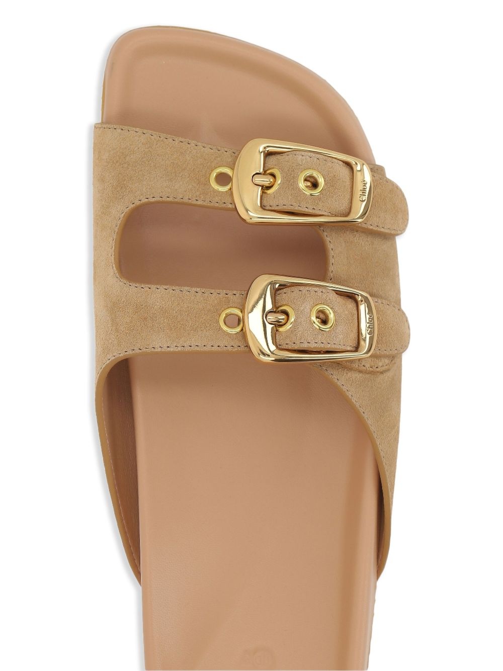 Polly slides - 4