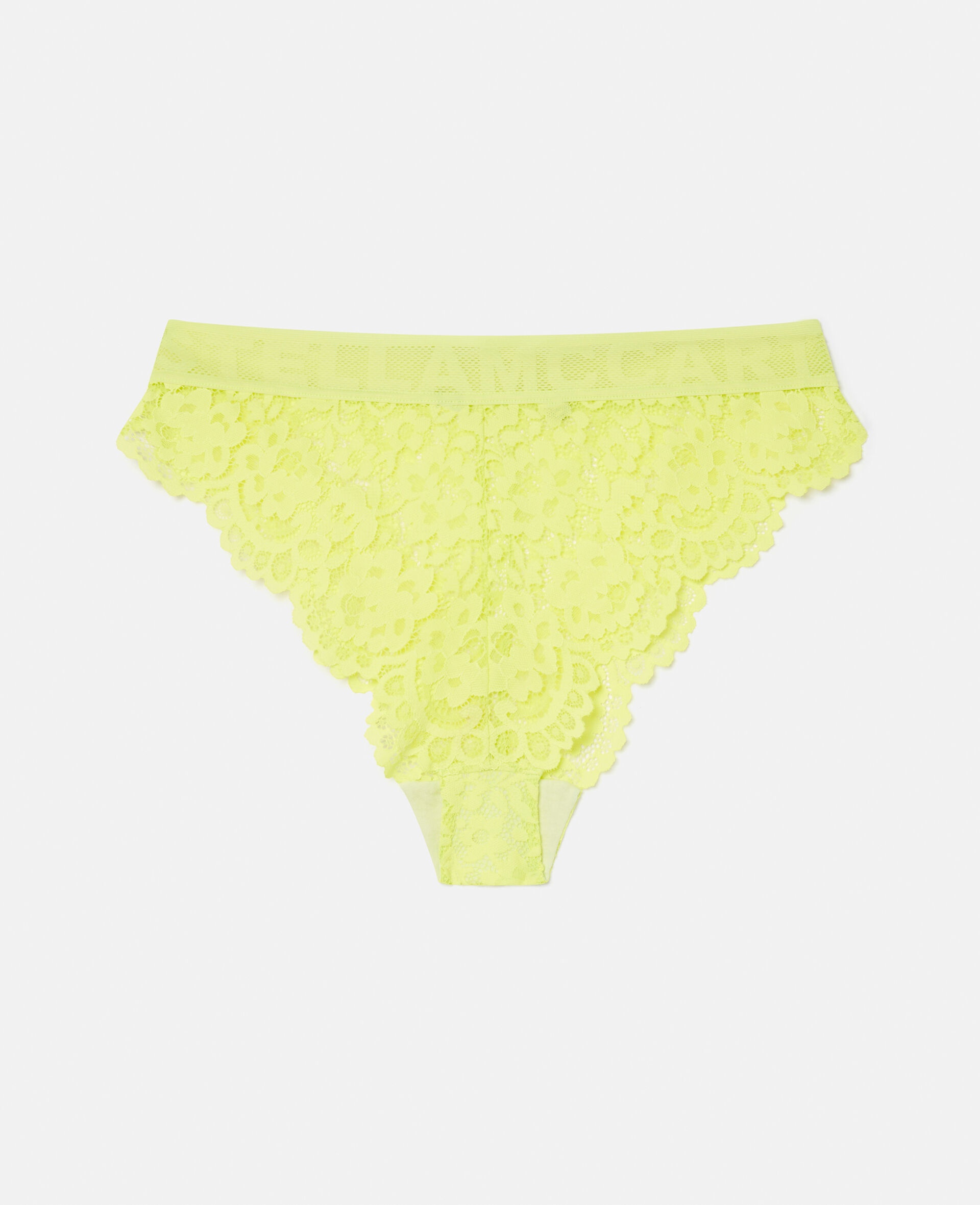 Lace Flounce High Leg High Waisted Briefs - 1