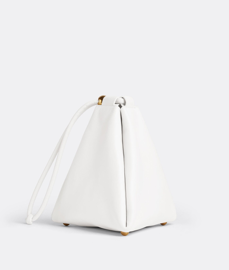 Bottega Veneta pouch outlook