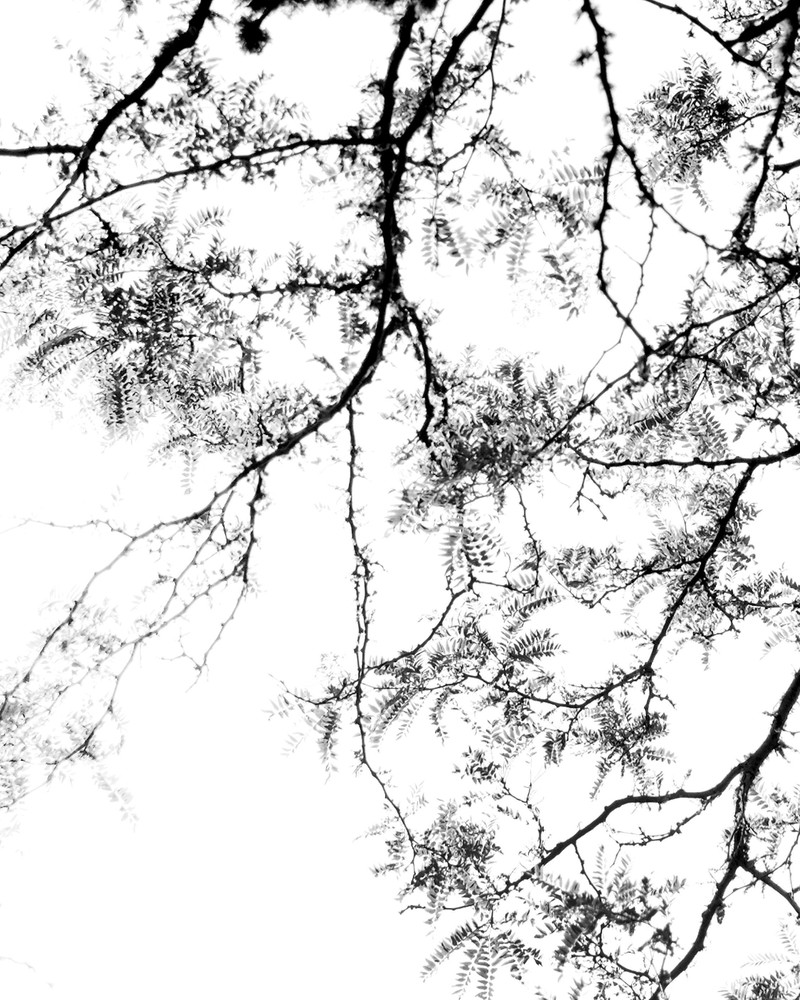 NEROLI 50ML
Fragrance 3