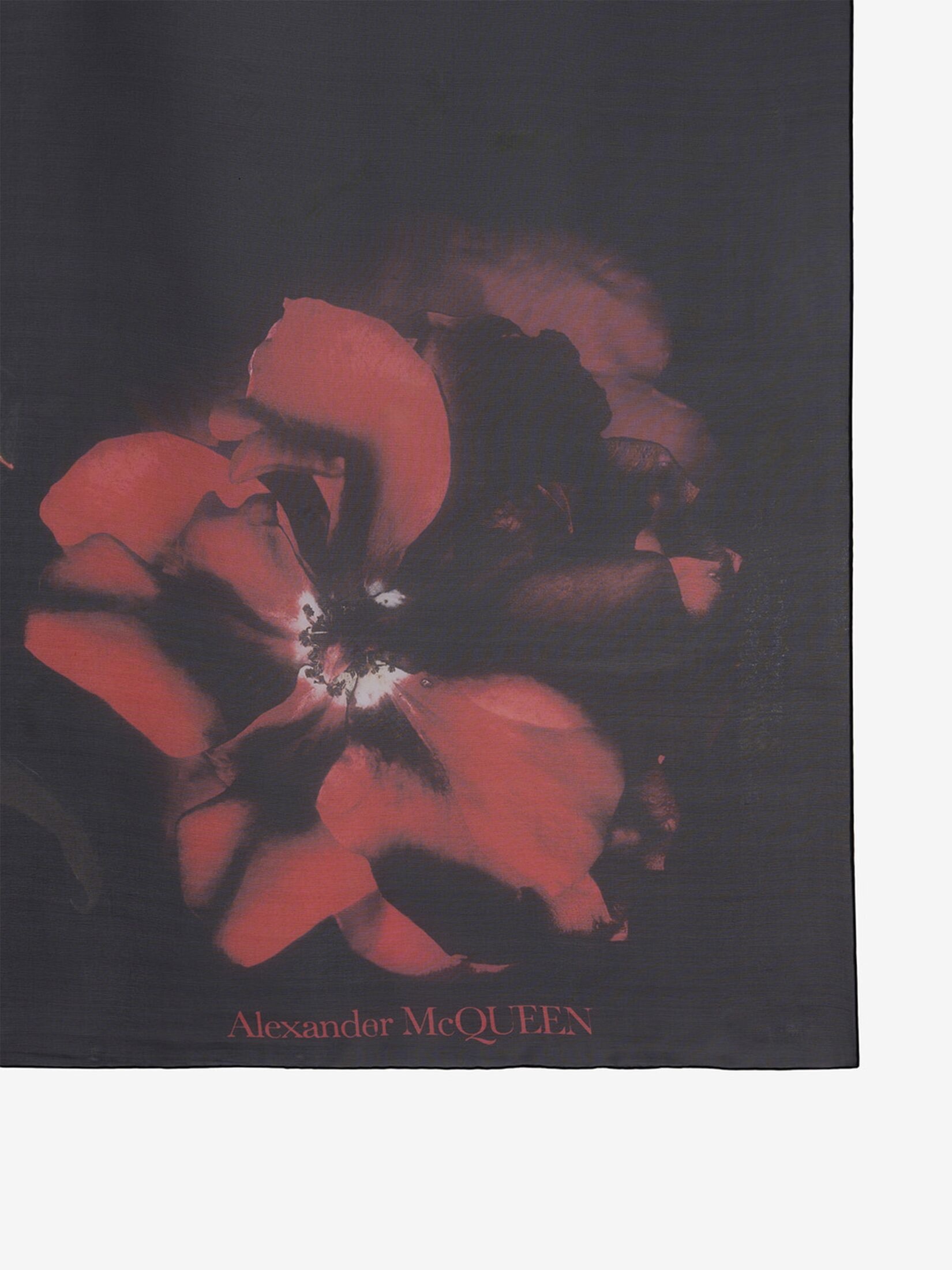 Women's Shadow Rose Shawl in Black/red/green - 3