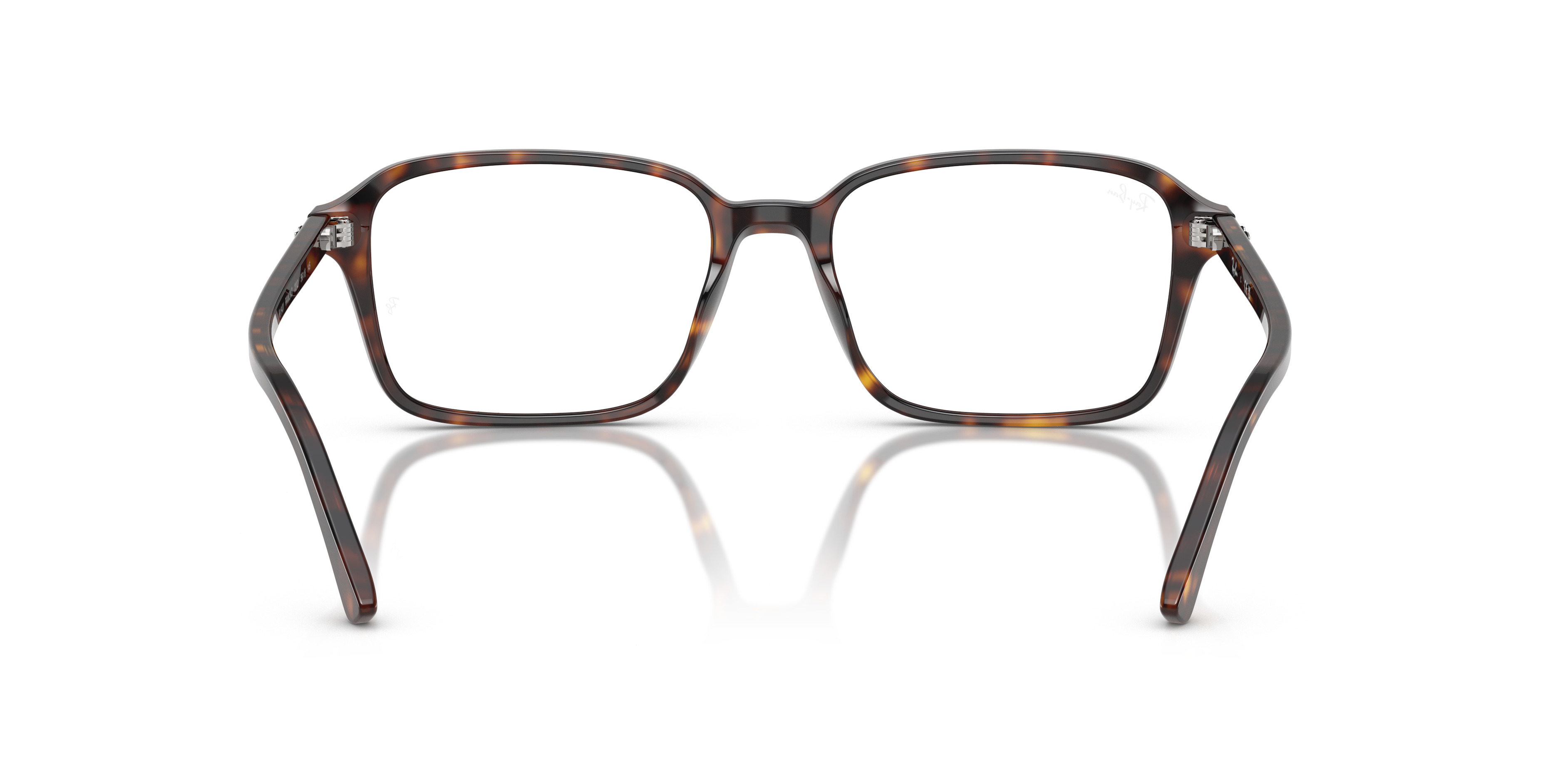 RAIMOND OPTICS - 6