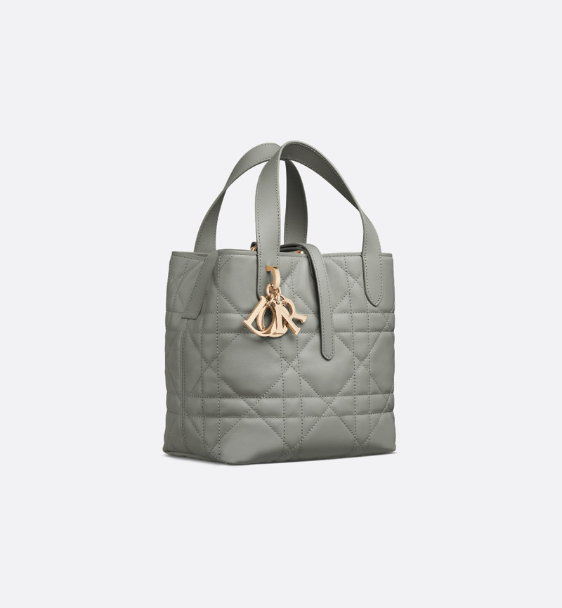Small Dior Toujours Vertical Tote Bag 1