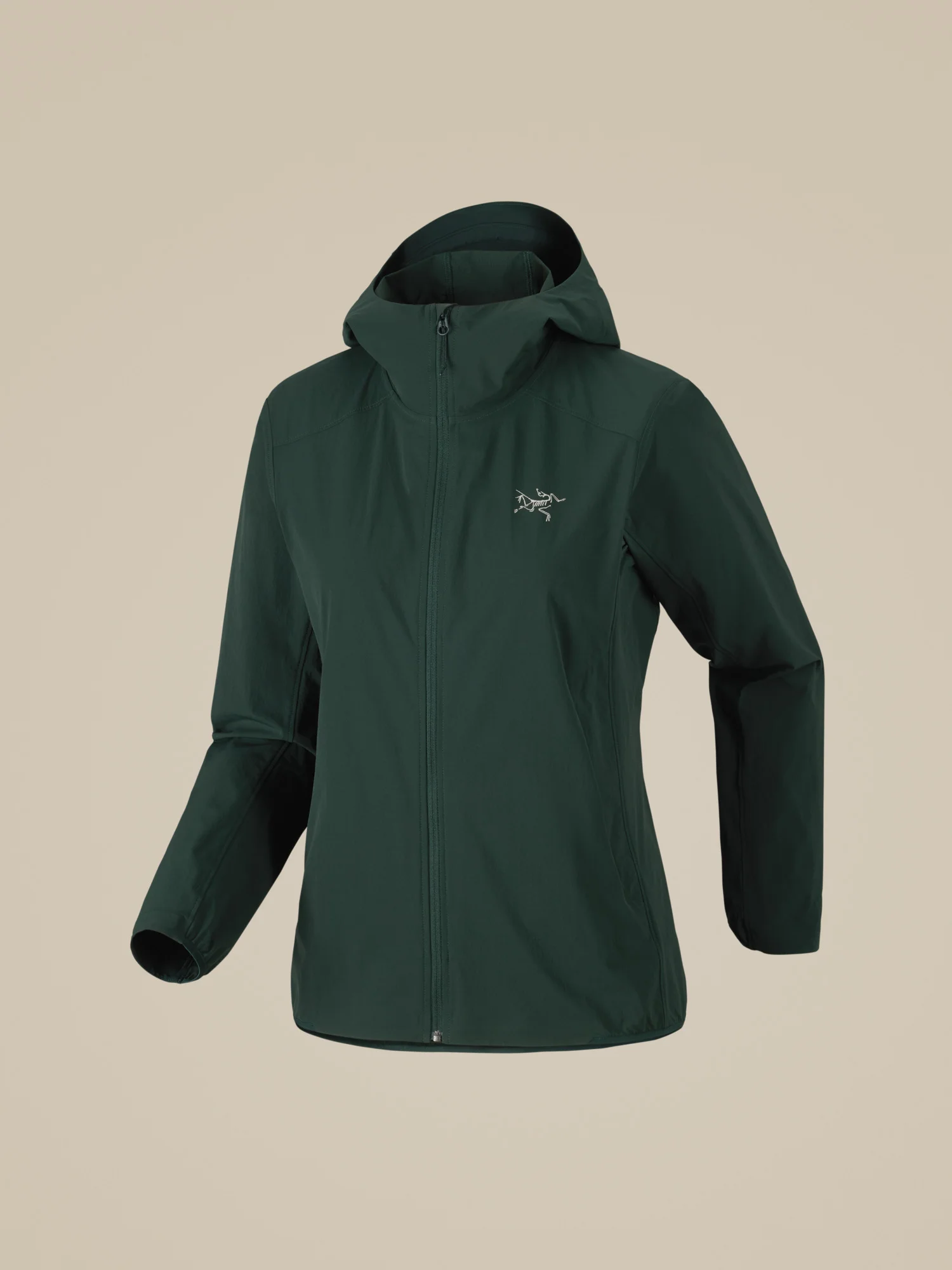 Gamma Lightweight Hoody - 1