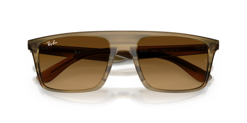 Ray-Ban RB2222 outlook