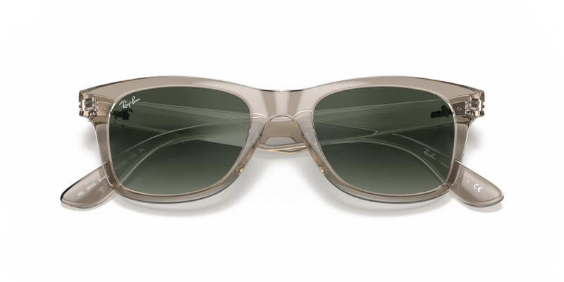 Ray-Ban RB4640 outlook