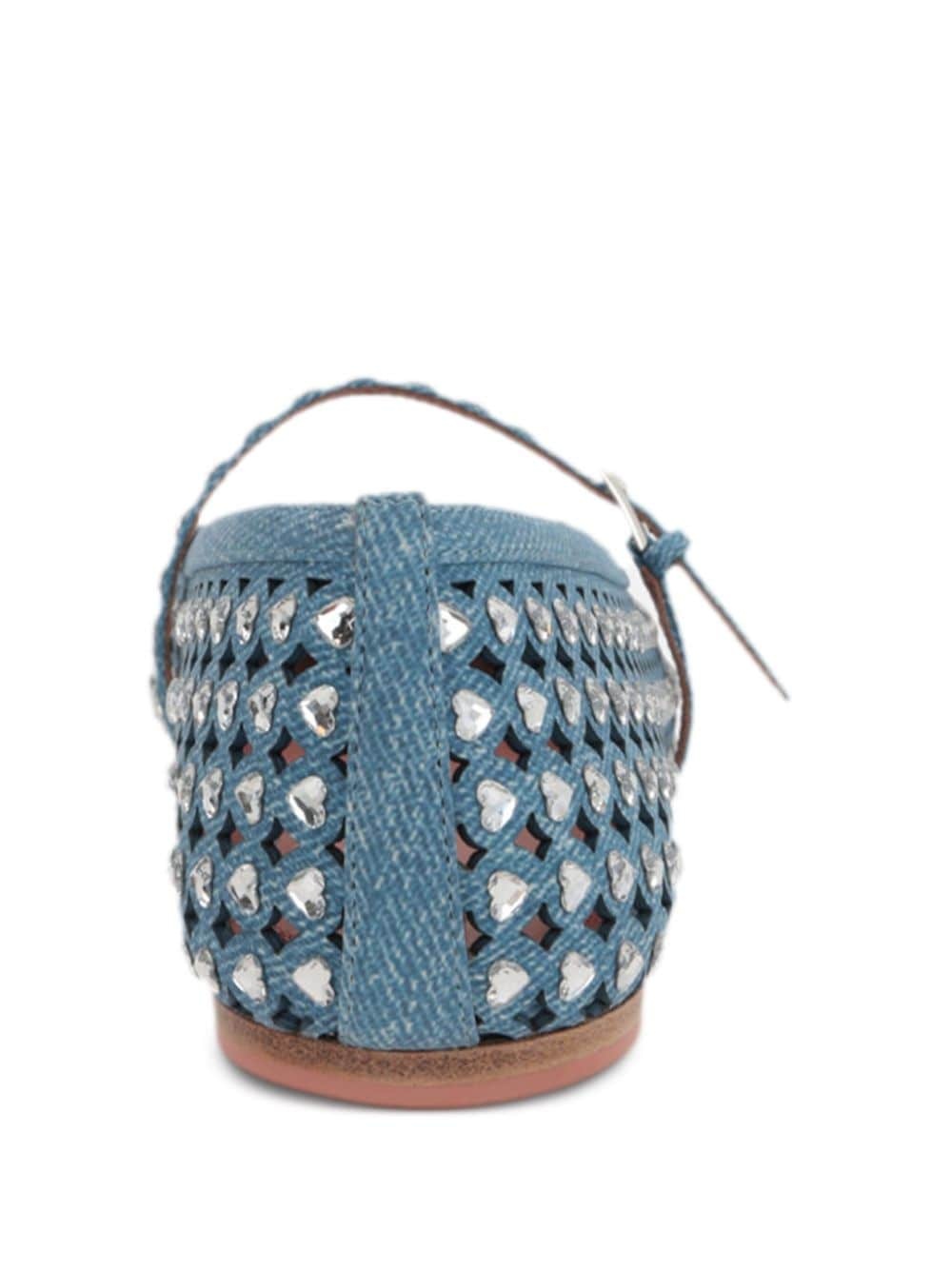 Anne embellished ballerina shoes - 3
