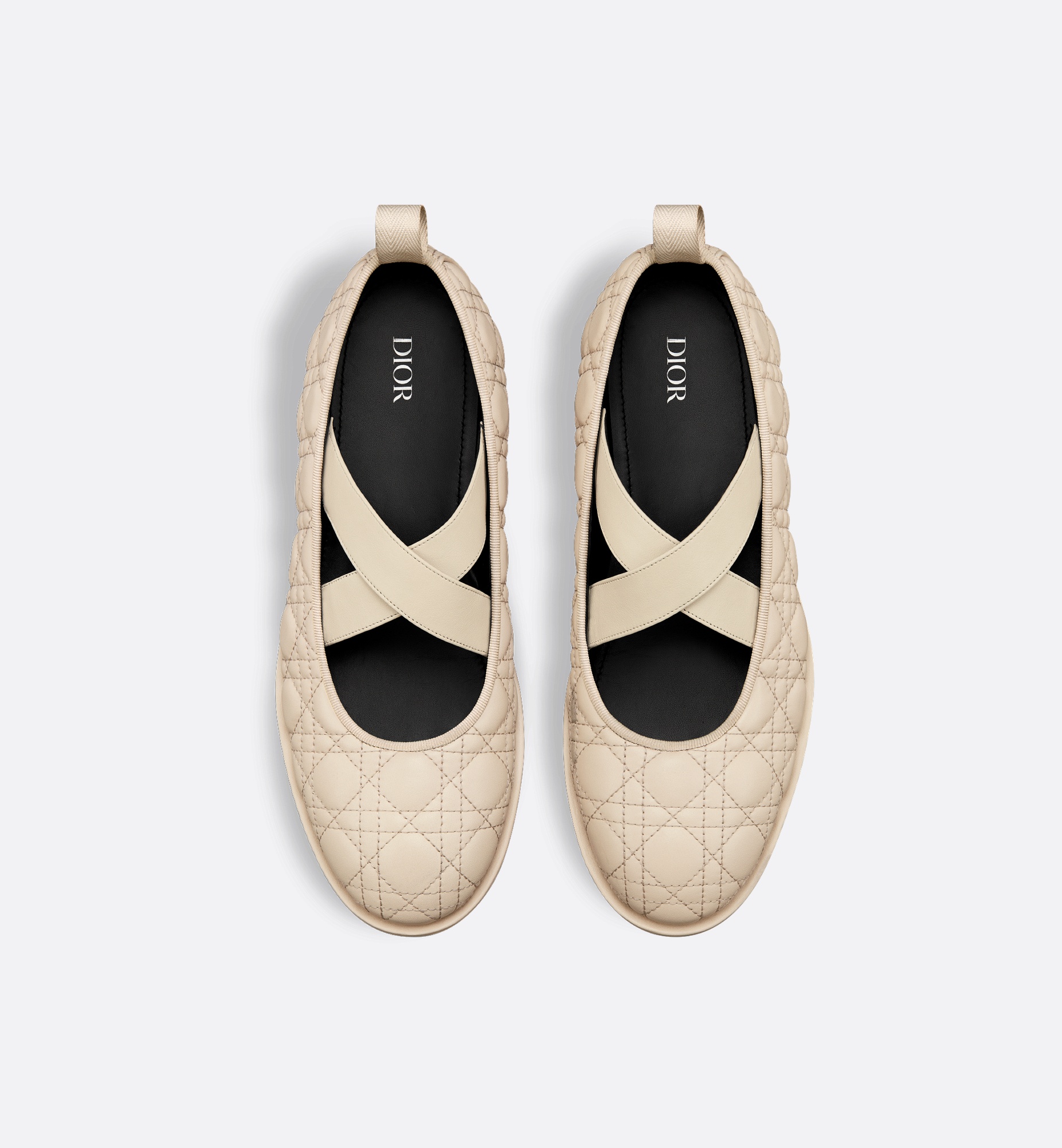 Dior Tendu Ballet Flat - 5