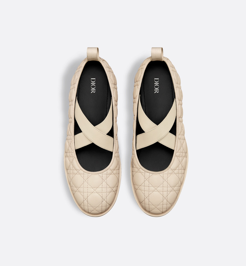 Dior Tendu Ballet Flat 5
