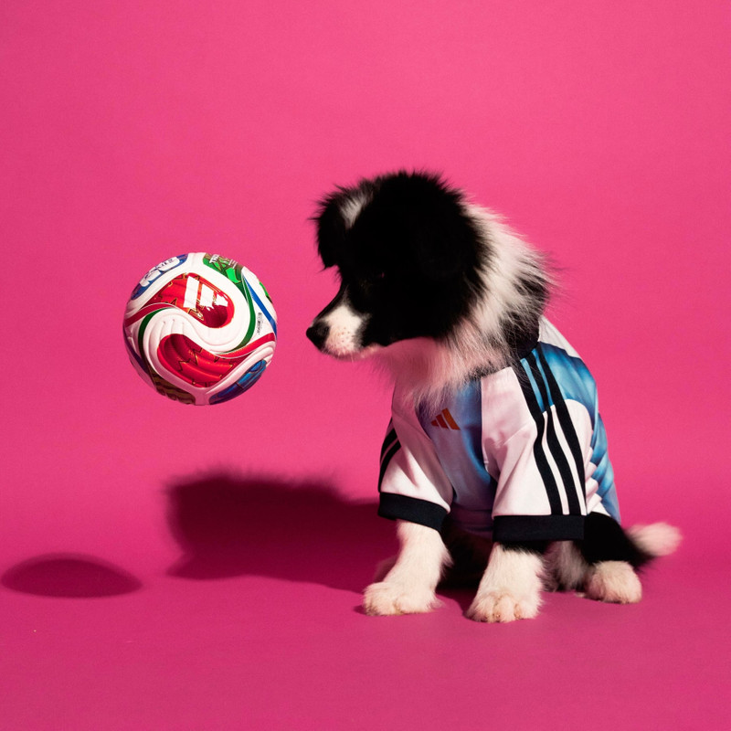 Pet Jersey 26 Argentina 8
