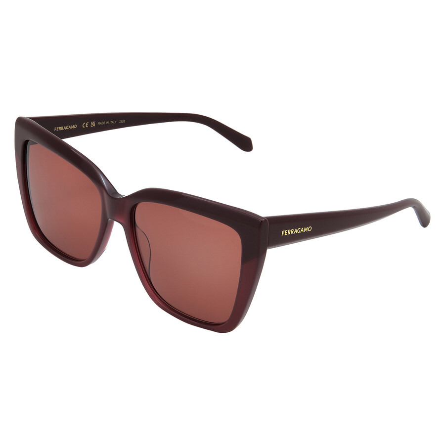 Ferragamo Grey Gradient Cat Eye Ladies Sunglasses SF1102S 606 58 - 4
