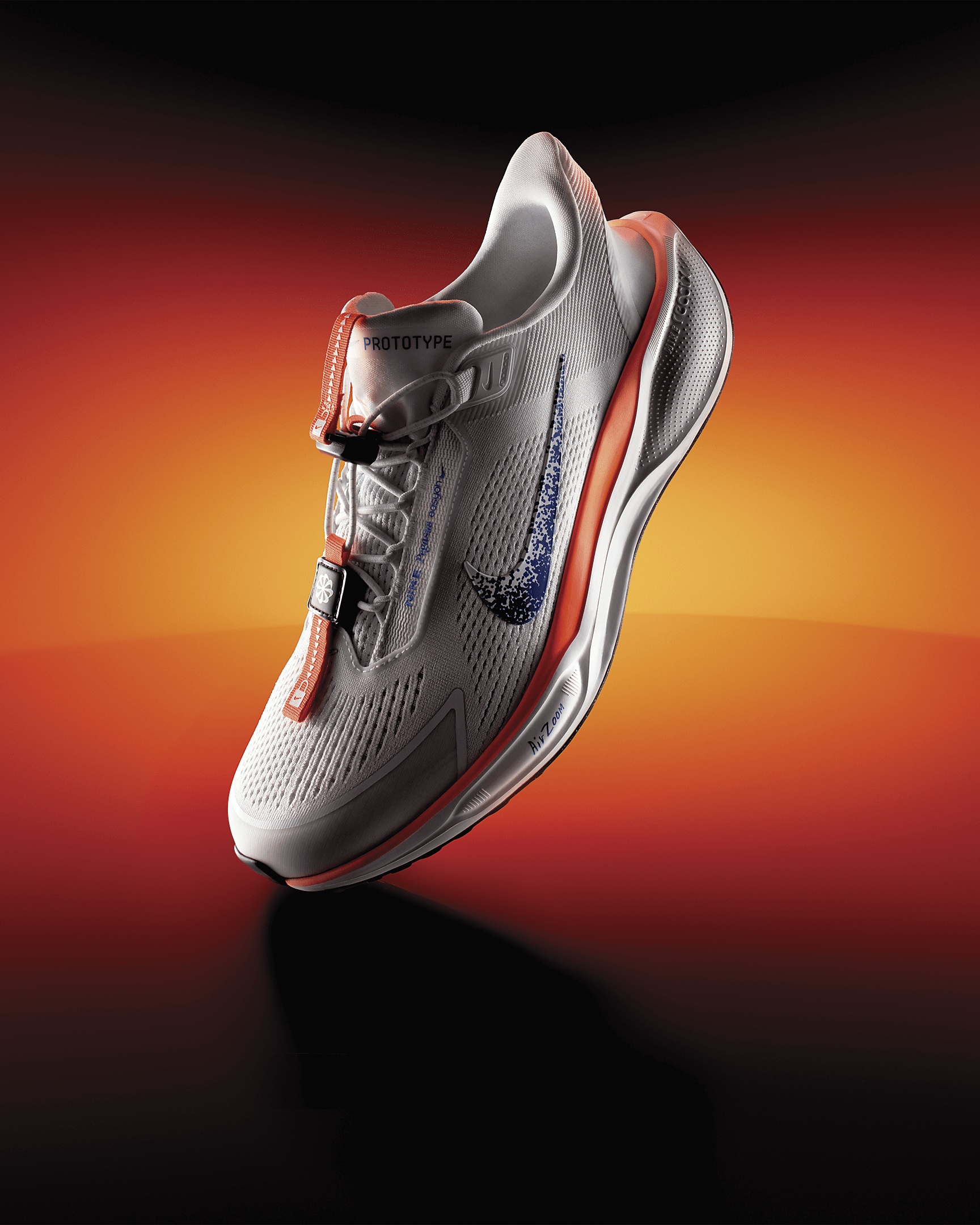 Nike Pegasus EasyOn Blueprint Men's Road Running Shoes - 2
