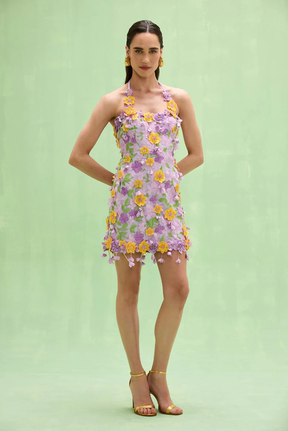 TULLE PINA EMBROIDERED MINI DRESS - 1