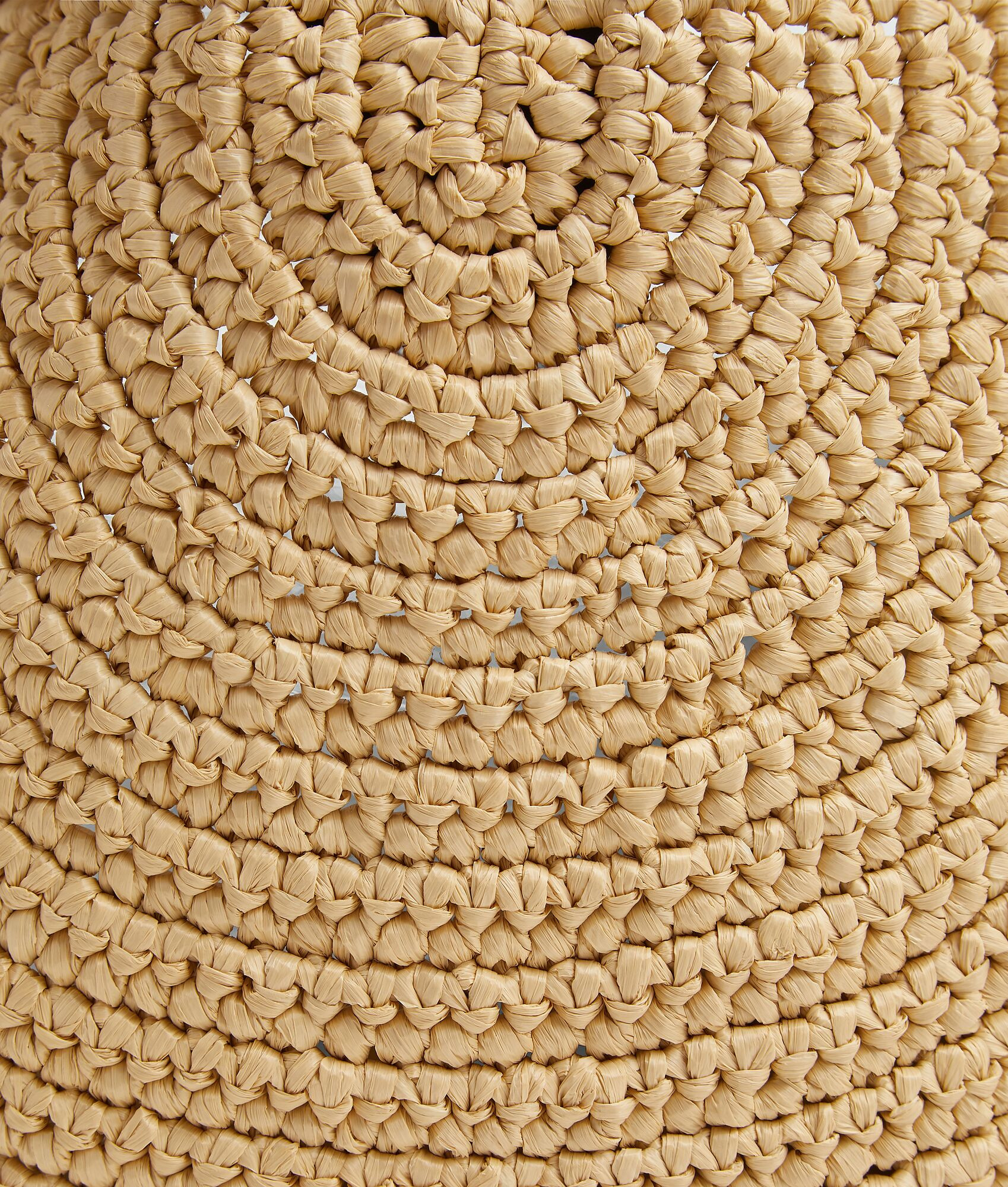 Sardine With Chain - 7