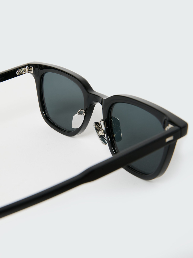 Type 1 Sunglasses 5