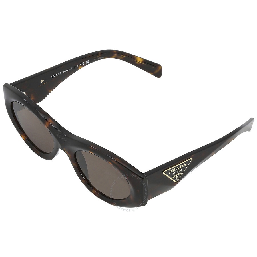 Prada Prada Dark Brown Oval Ladies Sunglasses PR 20ZS 2AU06B  display picture 2
