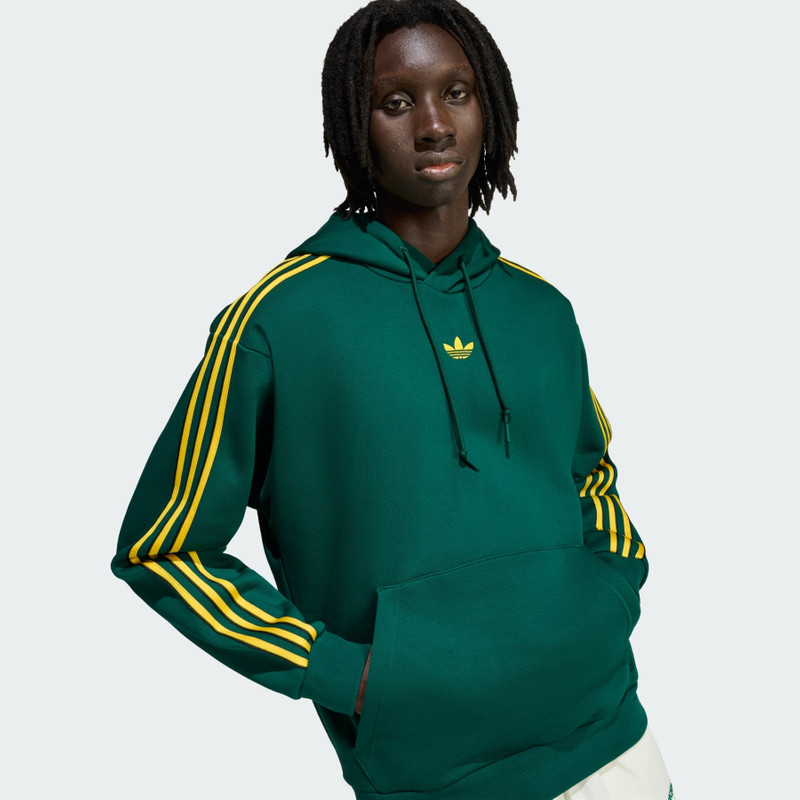TIPPED STRIPES HOODIE 5