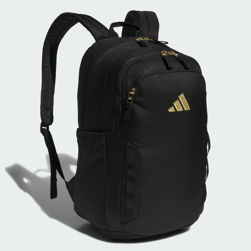 Amplifier Backpack 1