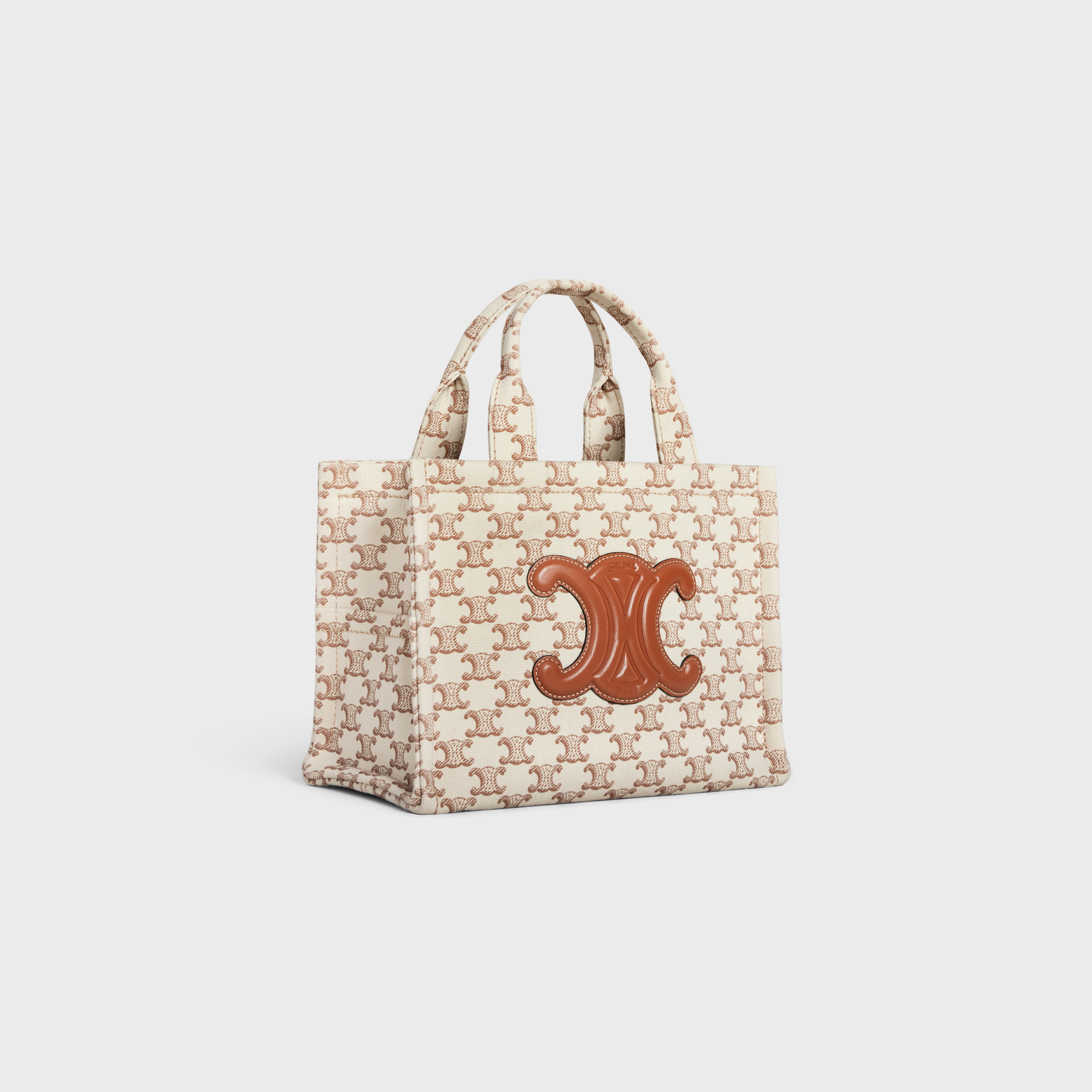 small cabas thais in TEXTILE WITH TRIOMPHE CANVAS PRINT AND CALFSKIN - 2
