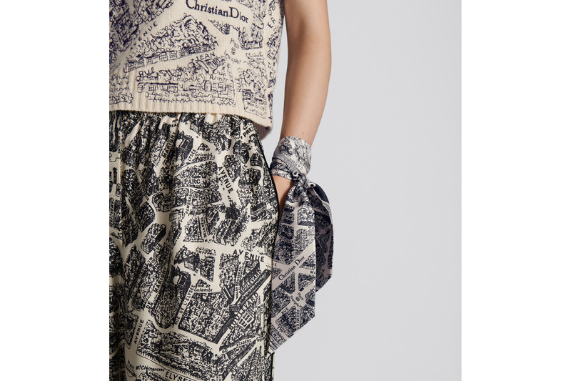 Dior Plan de Paris Mitzah Scarf outlook