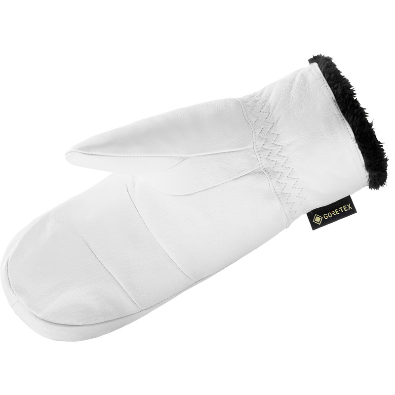 SALOMON NATIVE GORE-TEX outlook