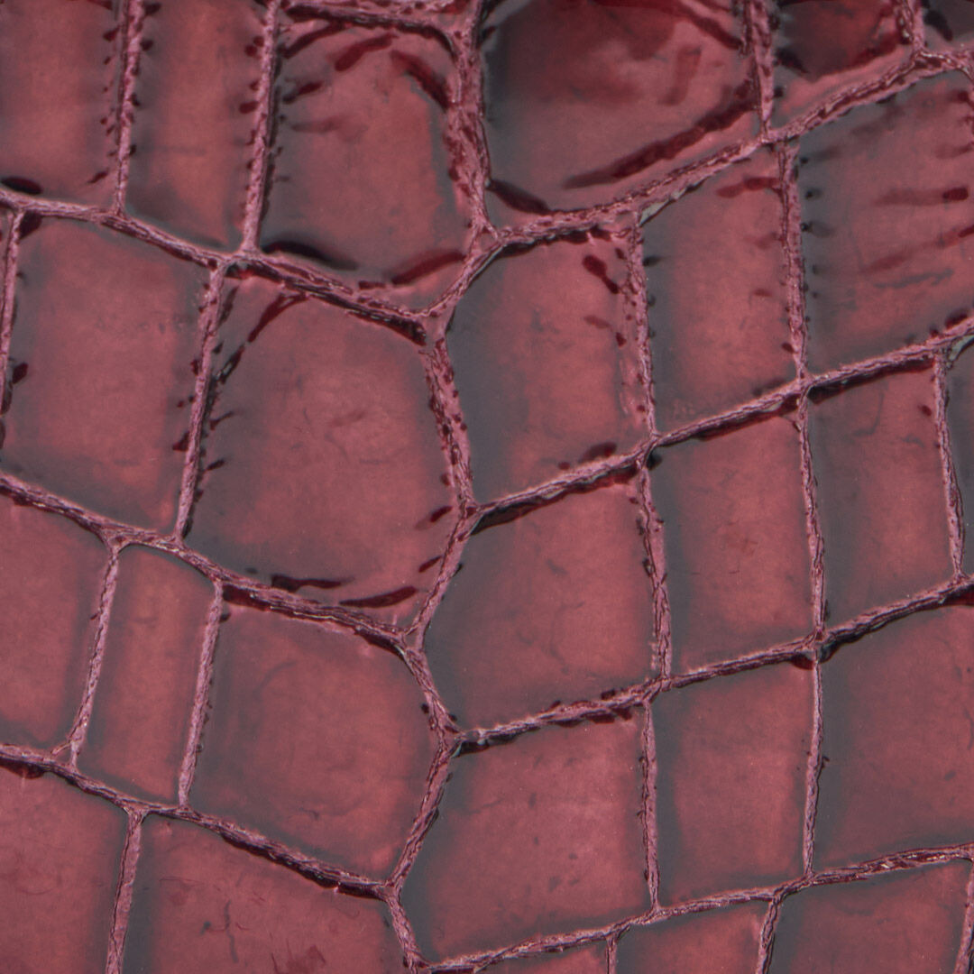 Crocodile-Print Roar Bag - 4